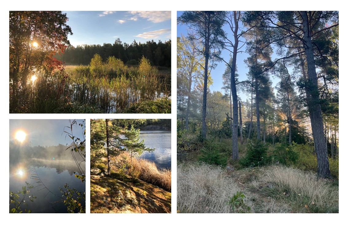 Vackert runt knuten på promenad eller i kajaken