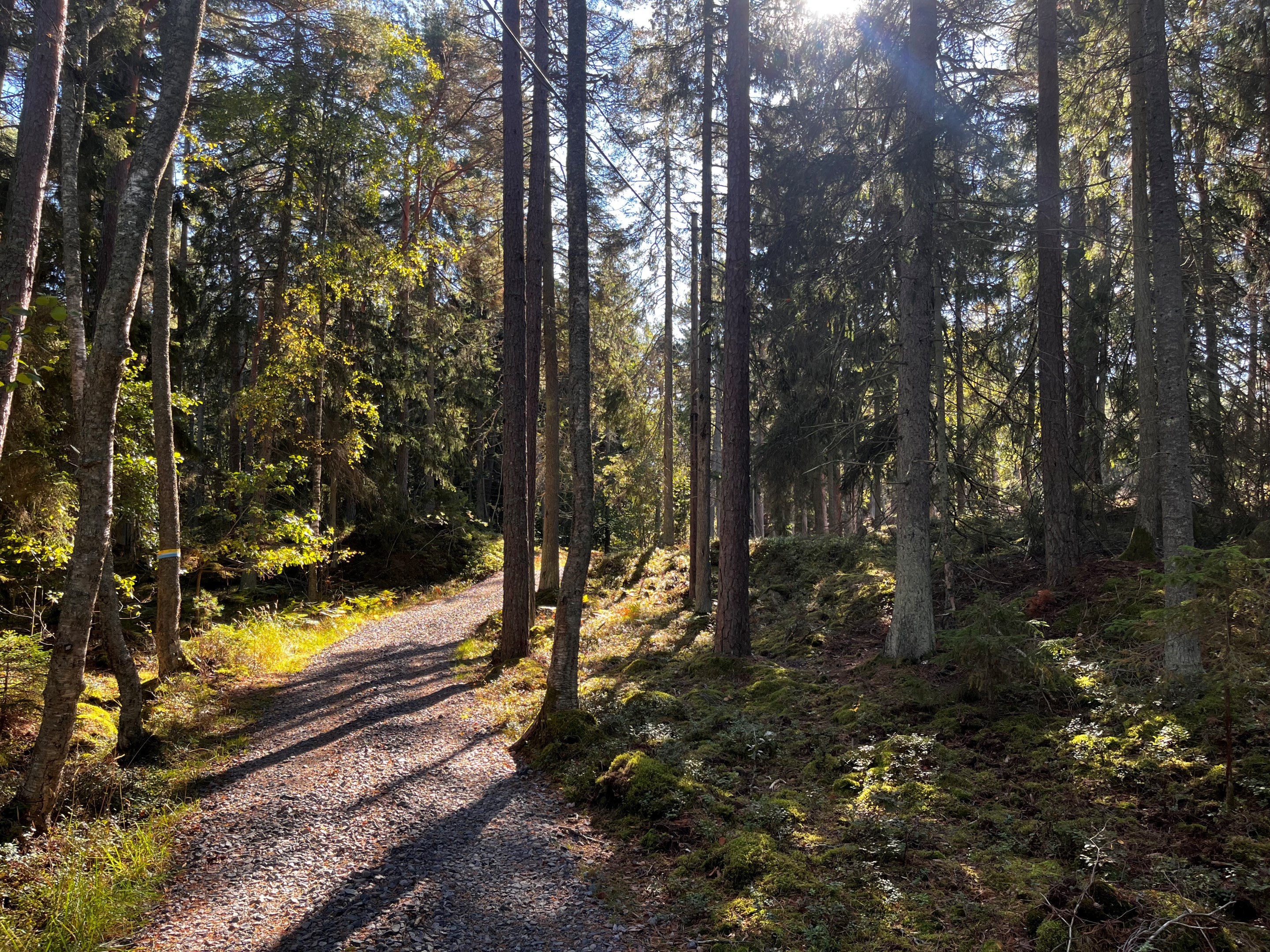 Bostadsbild från Runmarö Söderby 843, Till salu i Skärgården - Runmarö, Värmdö