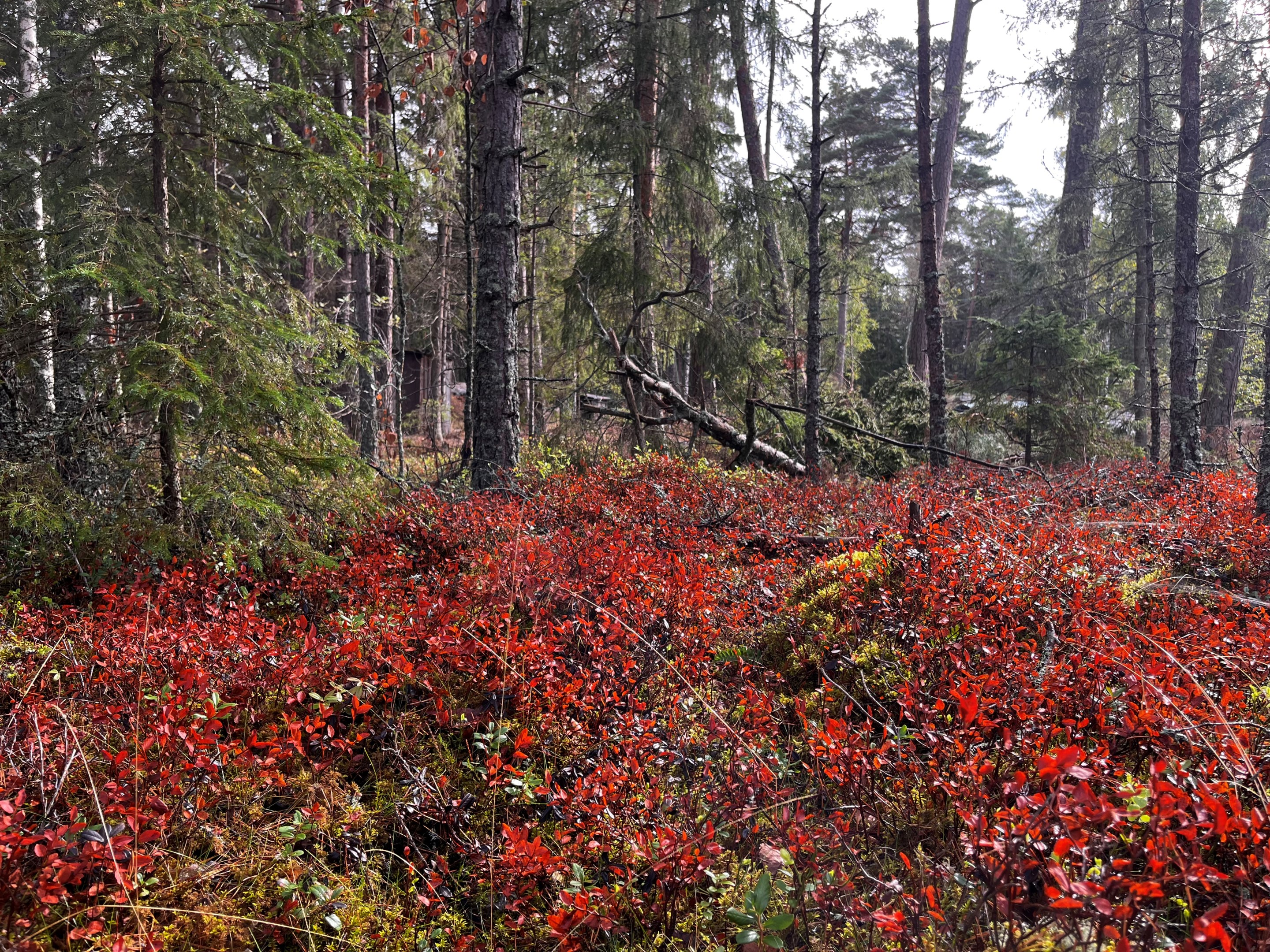Bostadsbild från Runmarö Söderby 843, Till salu i Skärgården - Runmarö, Värmdö
