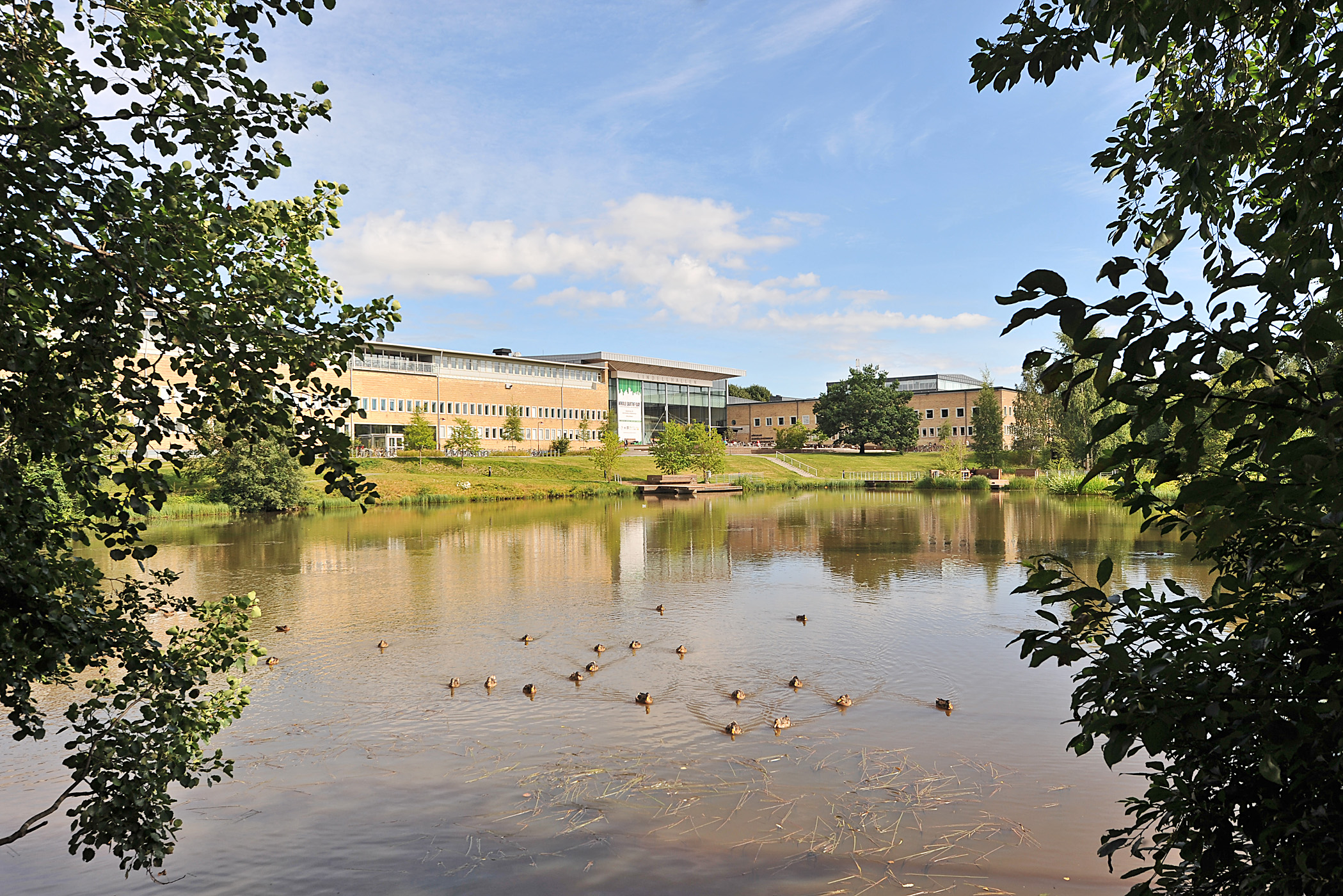 Universitetet 2