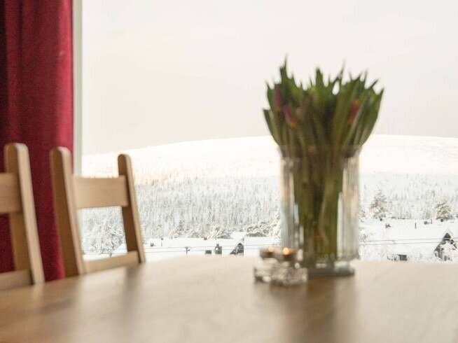 Högfjället utsikt mot backen