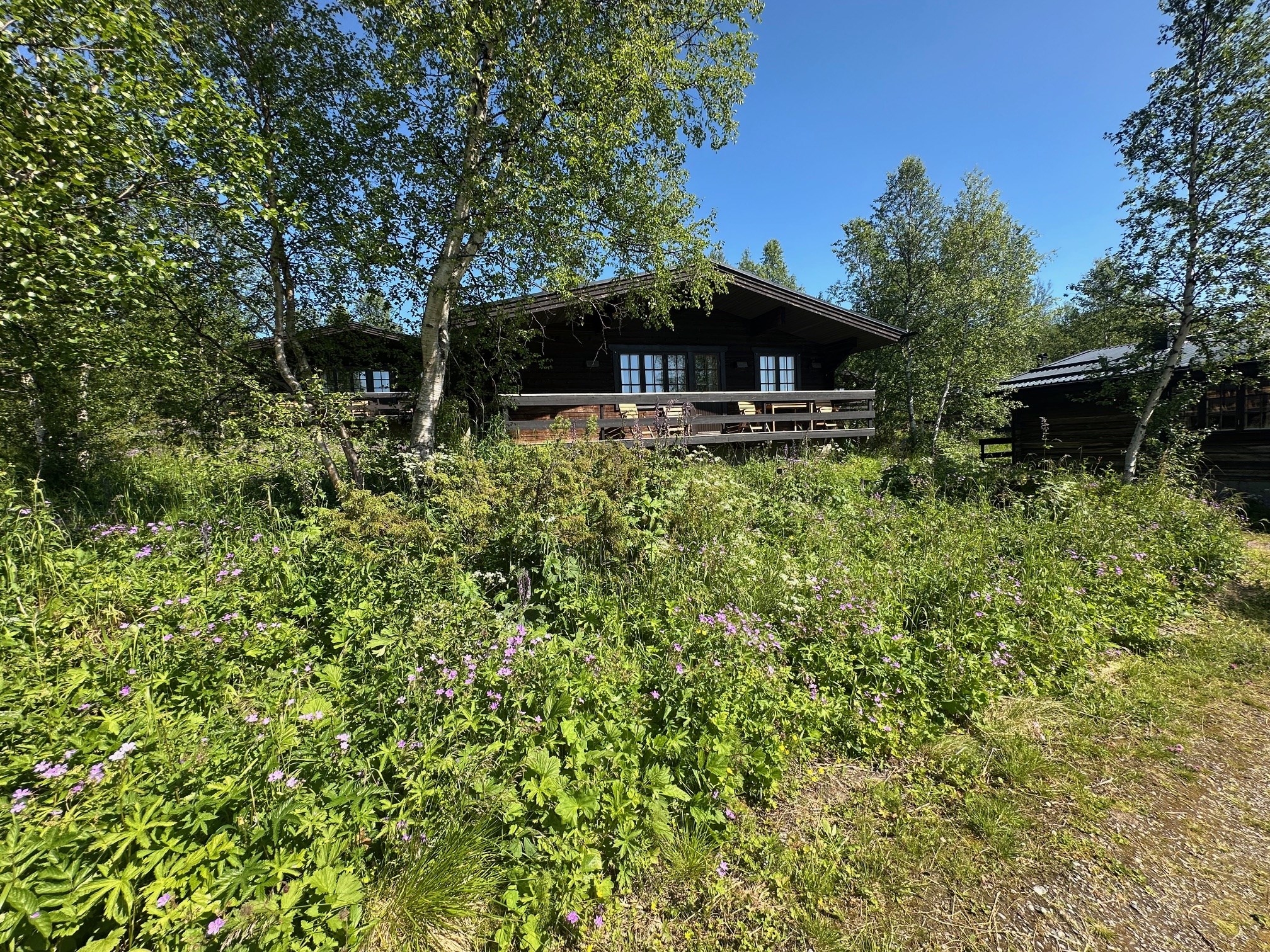 Fjällsätern sommar A