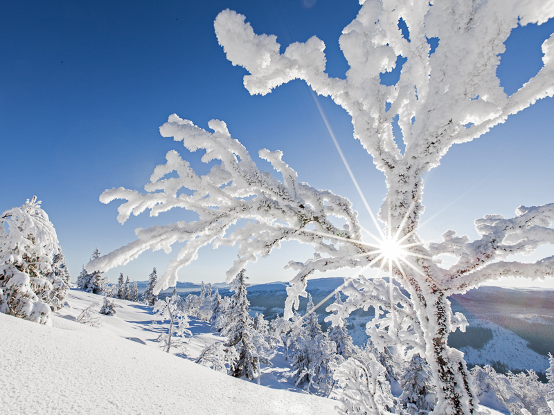 Sveriges snörikaste områden