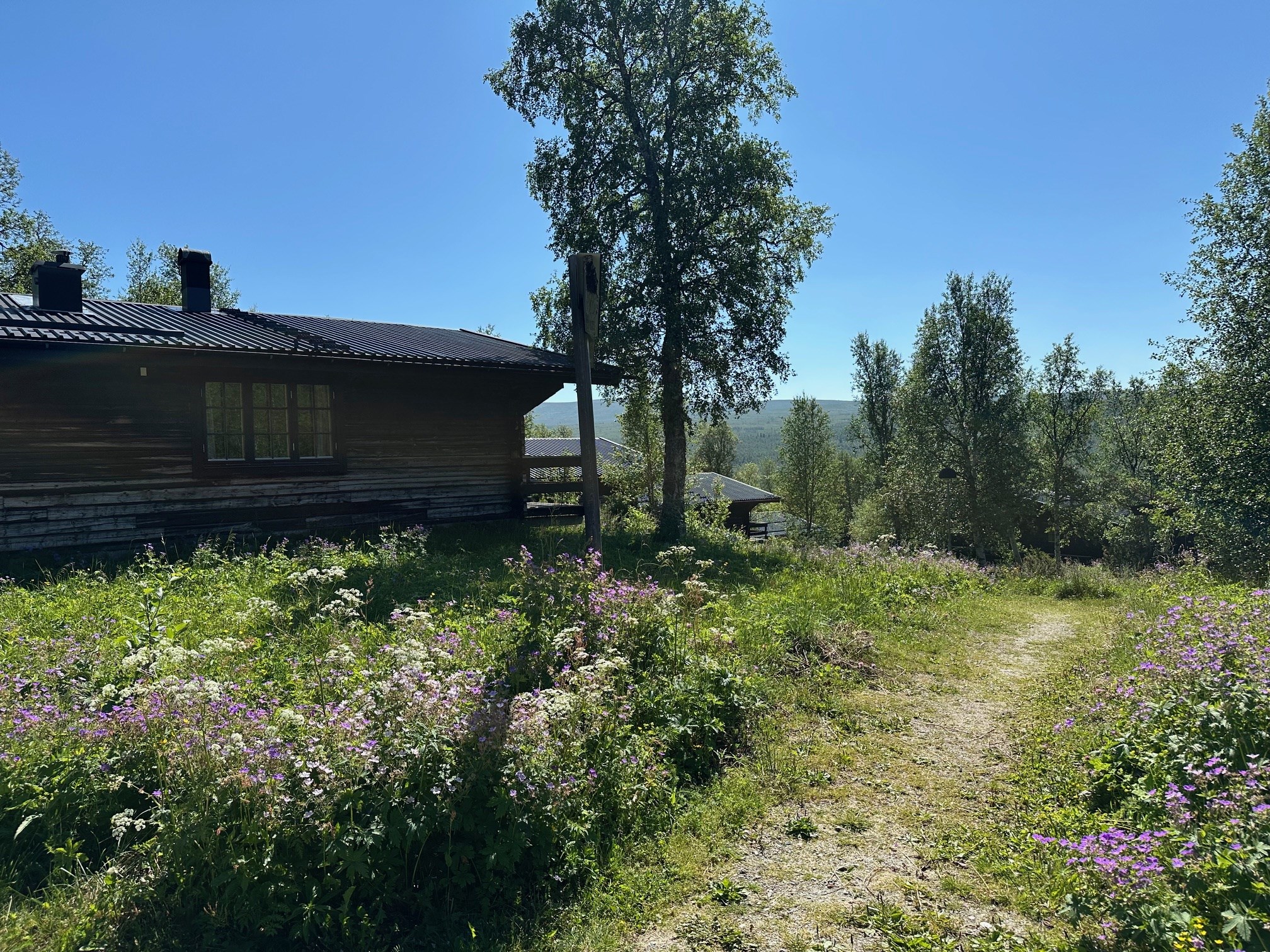 Fjällsätern somma B