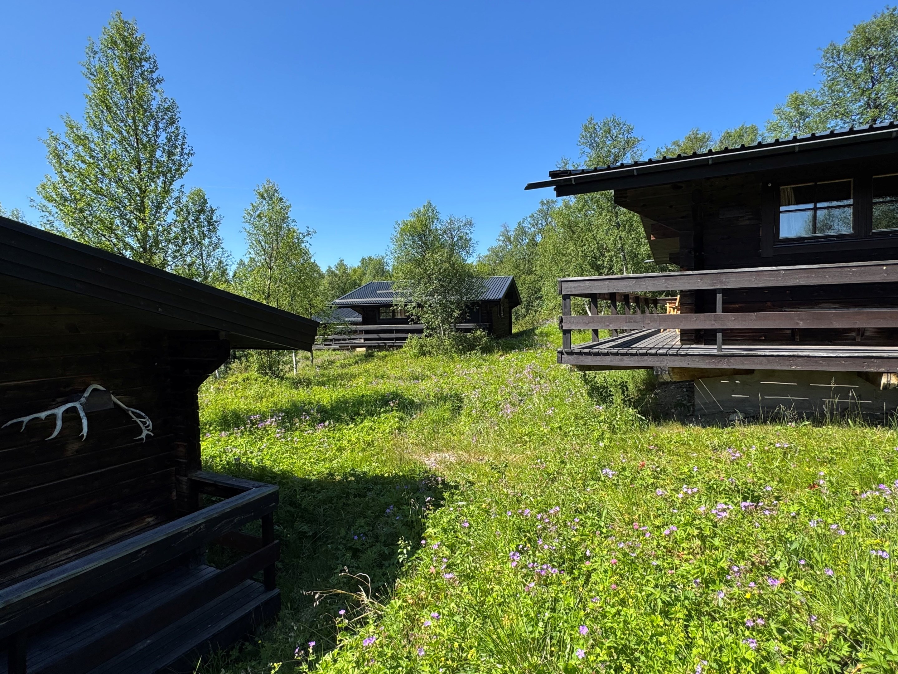 Fjällsätern sommar E