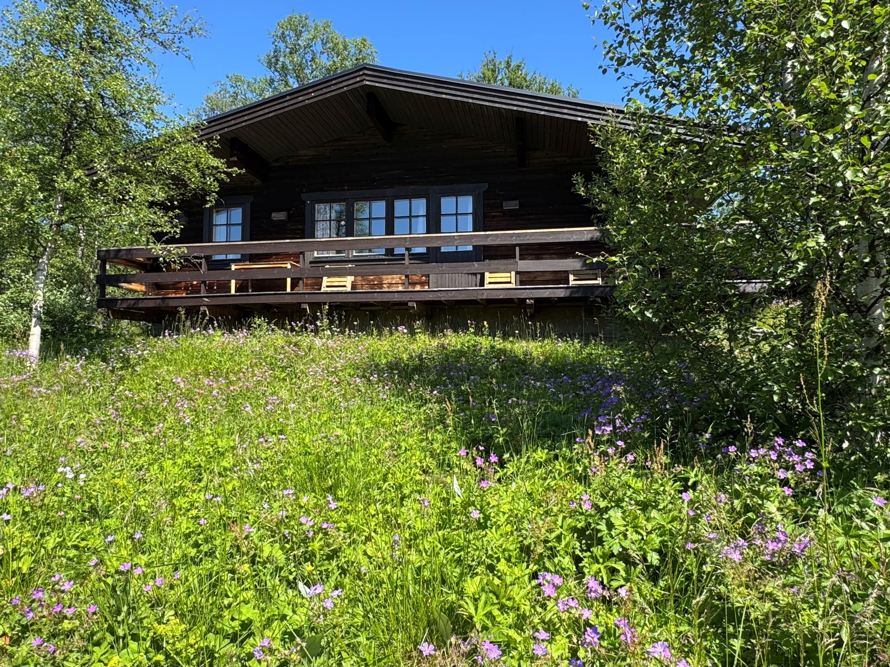 Fjällsätern sommar