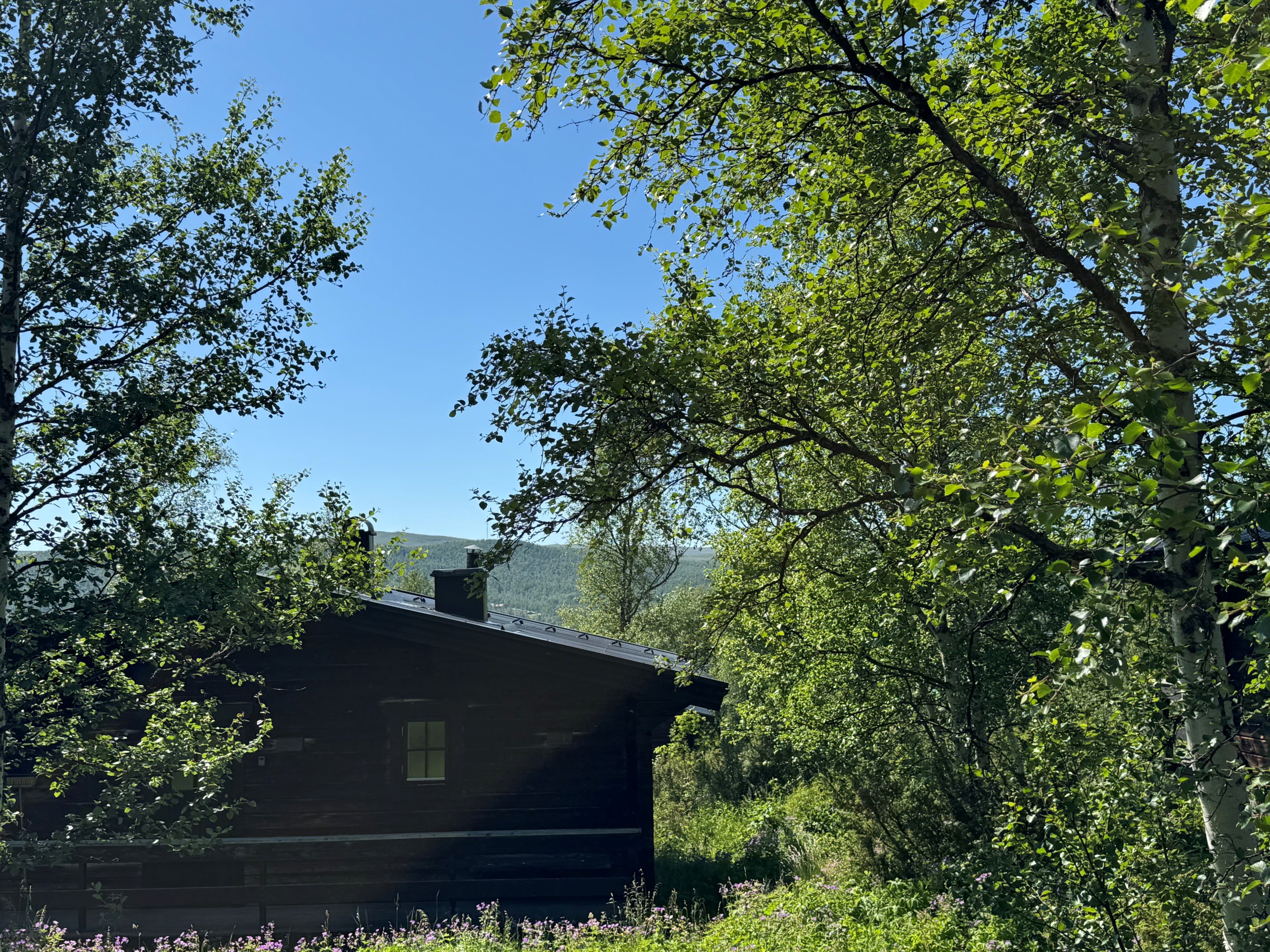 Fjällsätern sommar C