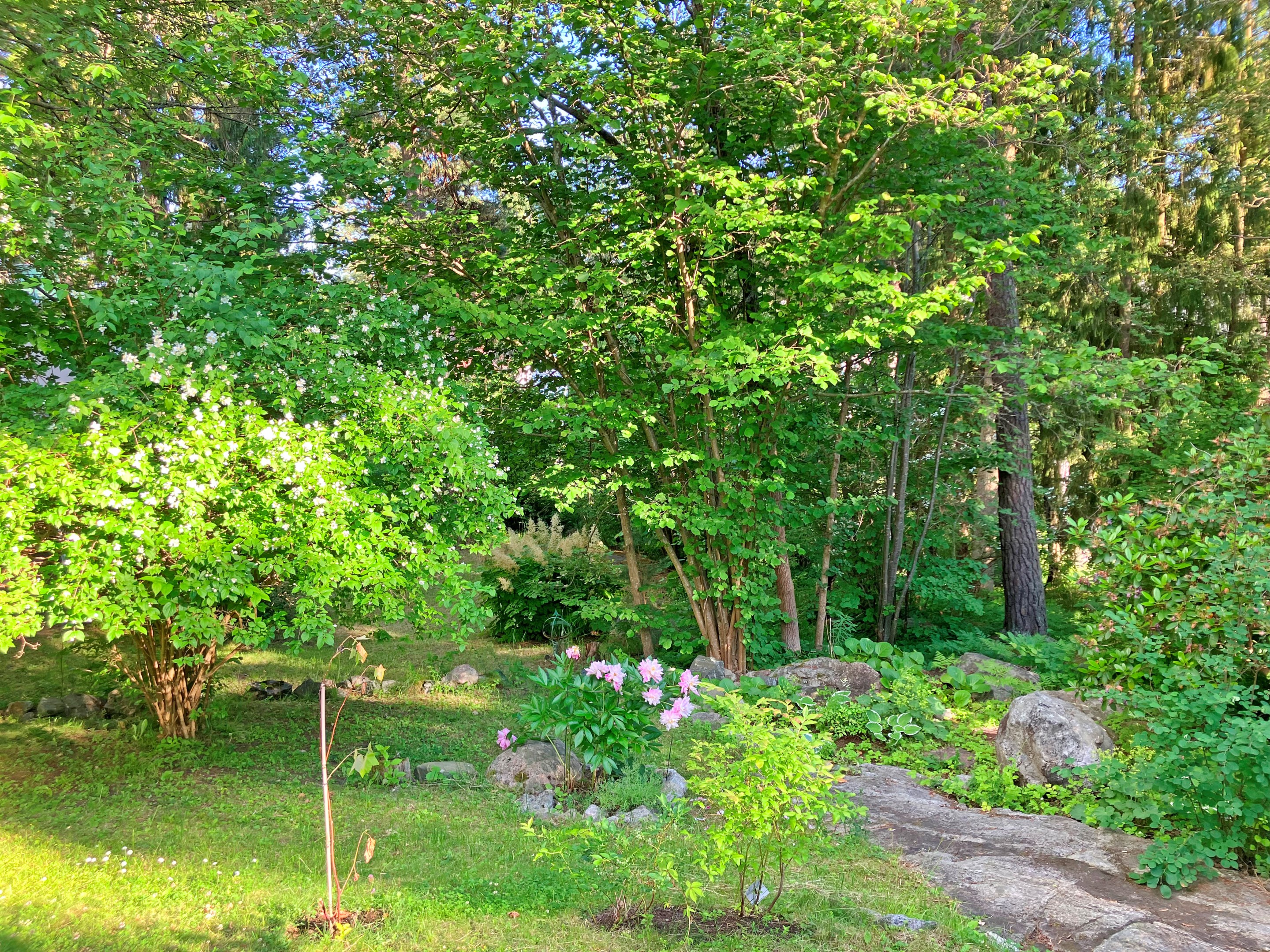 Bostadsbild från Hasselbergsvägen 5, Till salu i Bromma - Södra Ängby, Stockholm