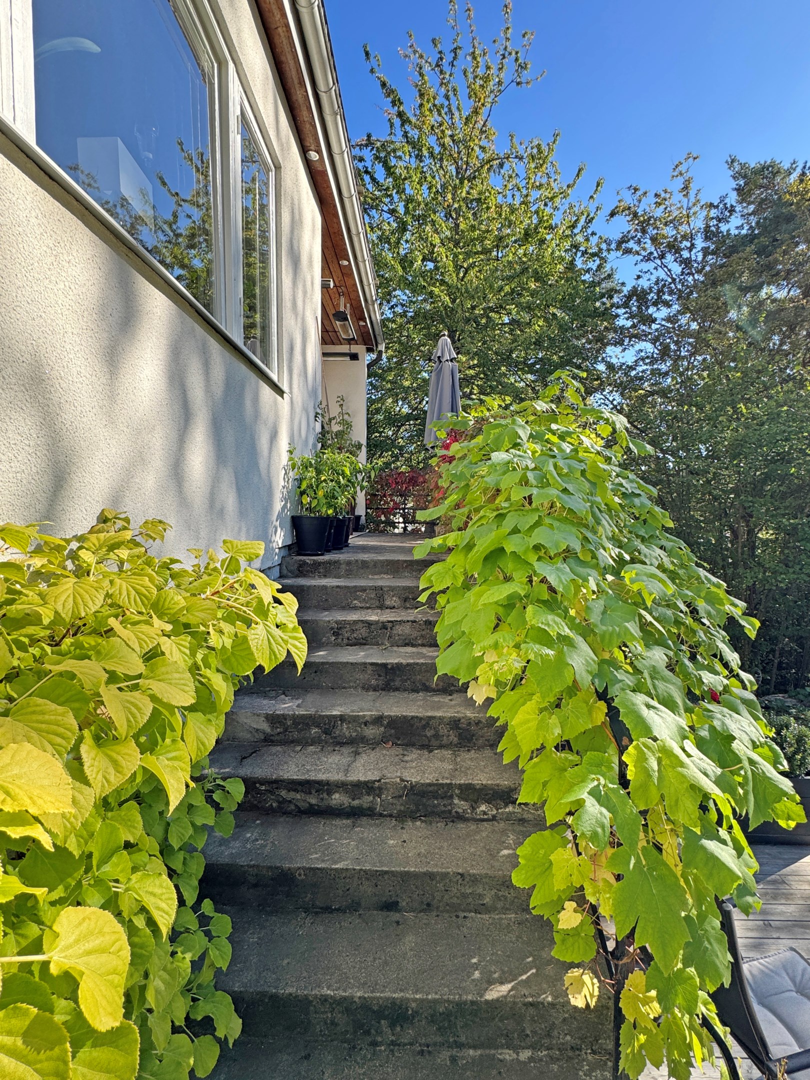 Bostadsbild från Hasselbergsvägen 5, Till salu i Bromma - Södra Ängby, Stockholm