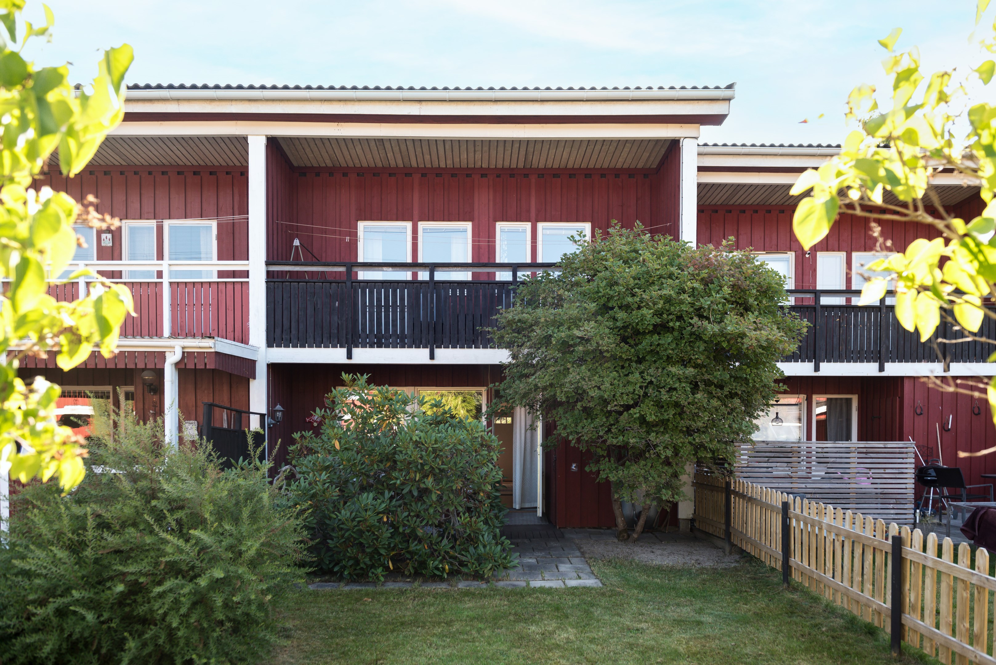 Trädgård