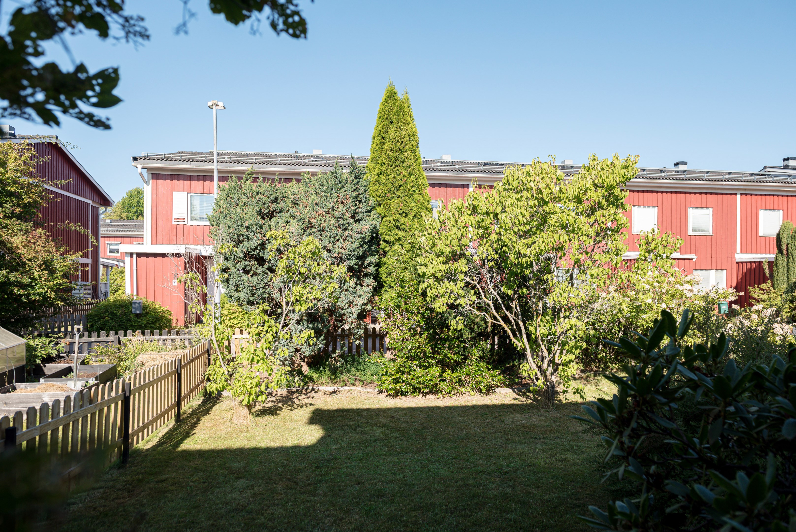 Trädgård