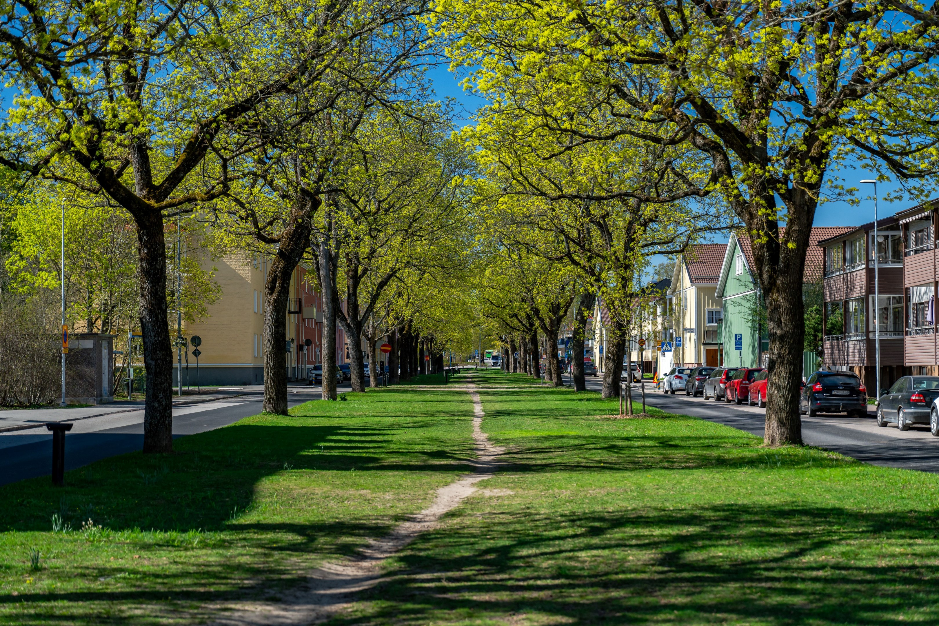 Bostadsbild från Ringgatan 11A, Kommande i Luthagen, Uppsala