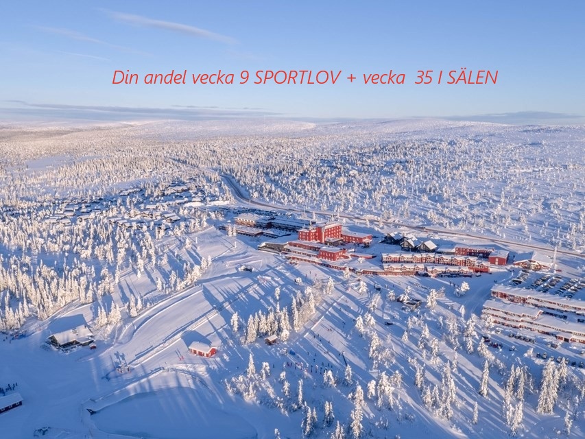 Upplev fjällens magi på Högfjällshotellet – nära naturen, skidspår och milsvid utsikt
