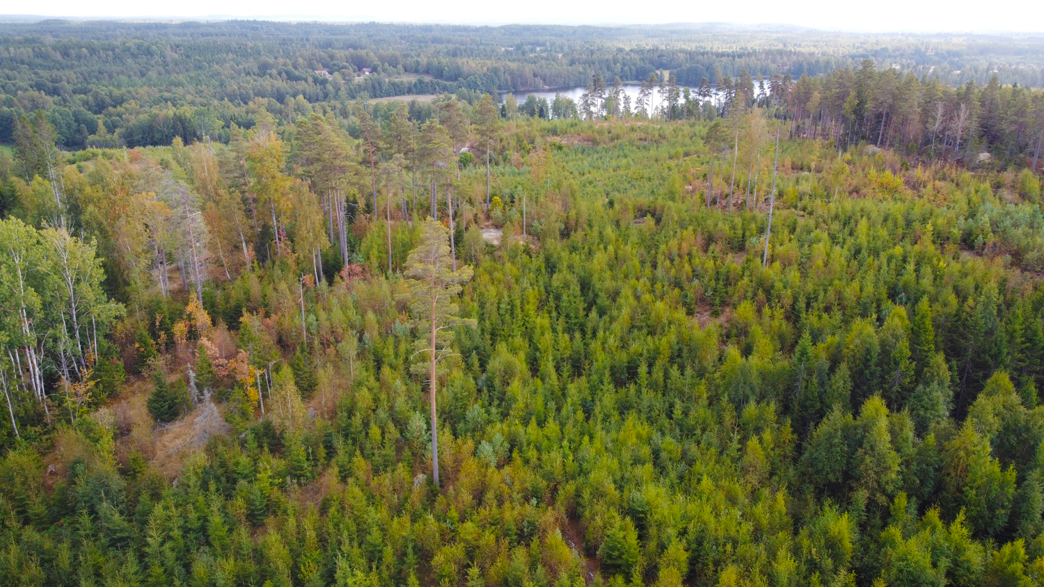 Bild 3 från Ekeby Mäklare