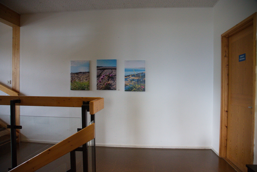 Servicehuset
