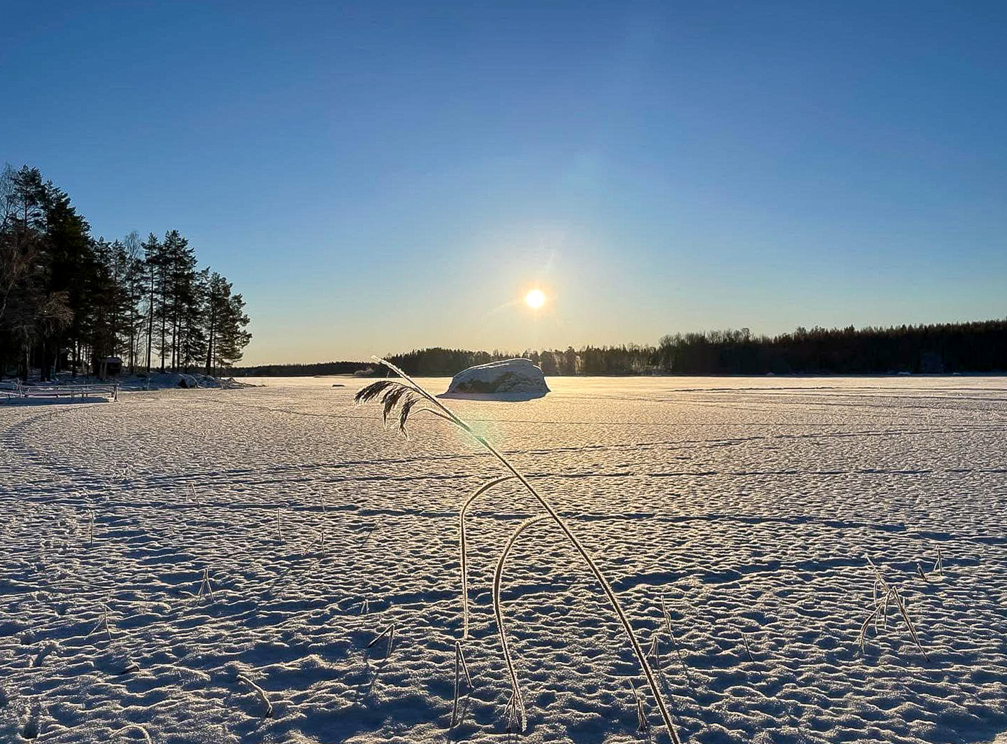 Säljarens bilder