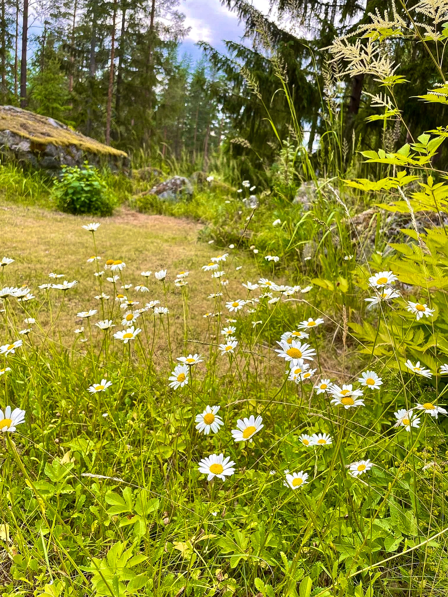 Säljarens bilder