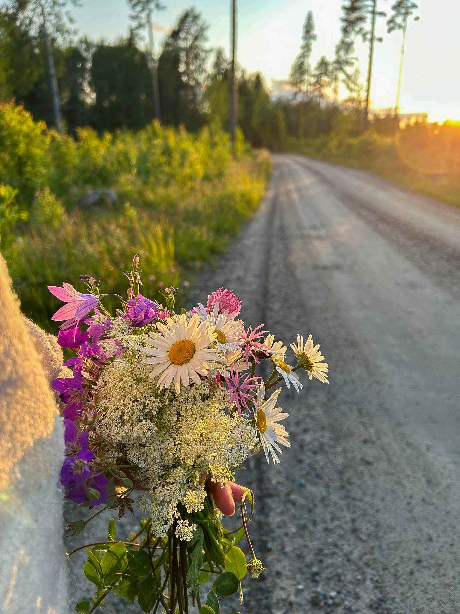 Säljarens bilder