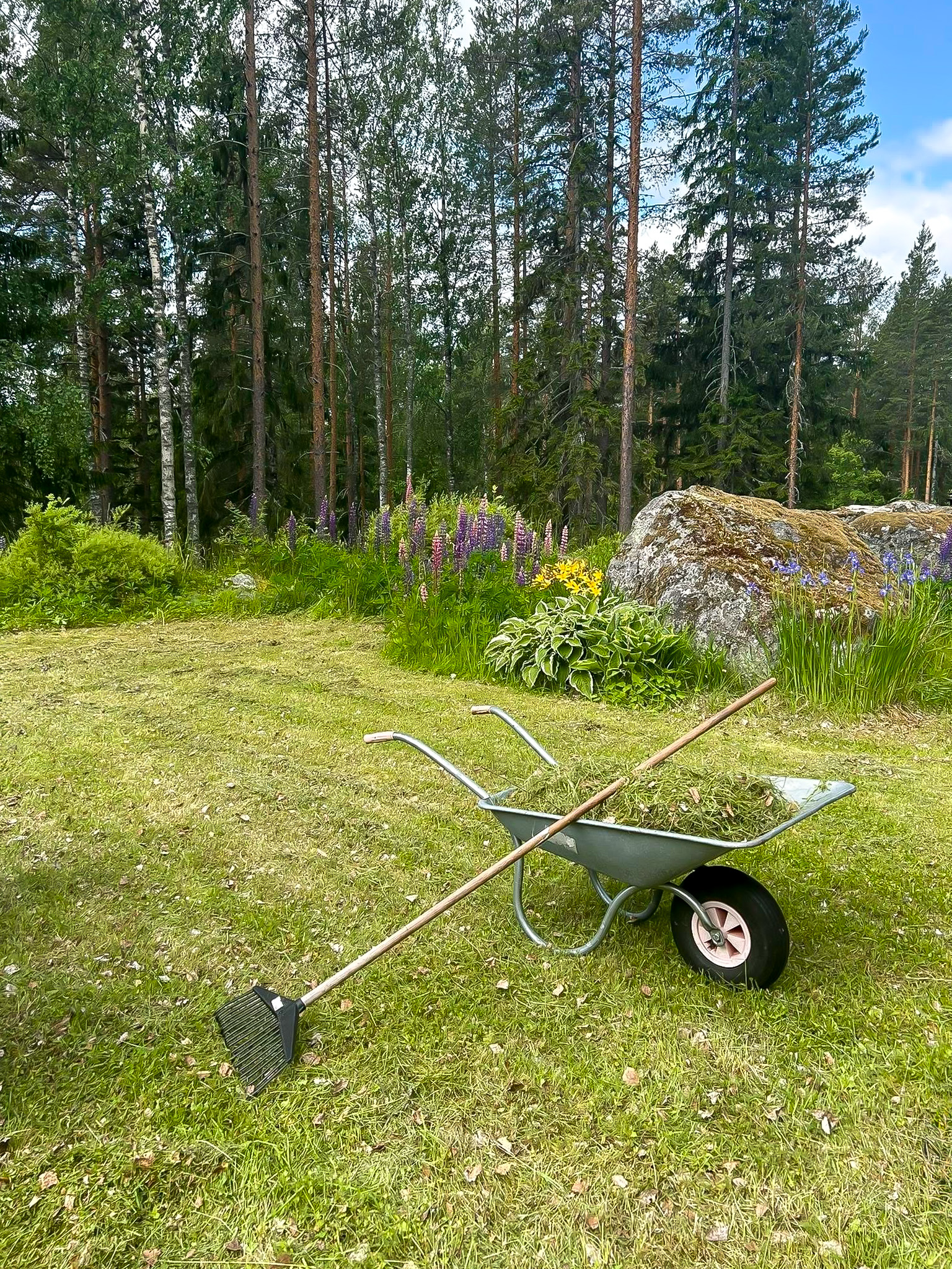 Säljarens bilder