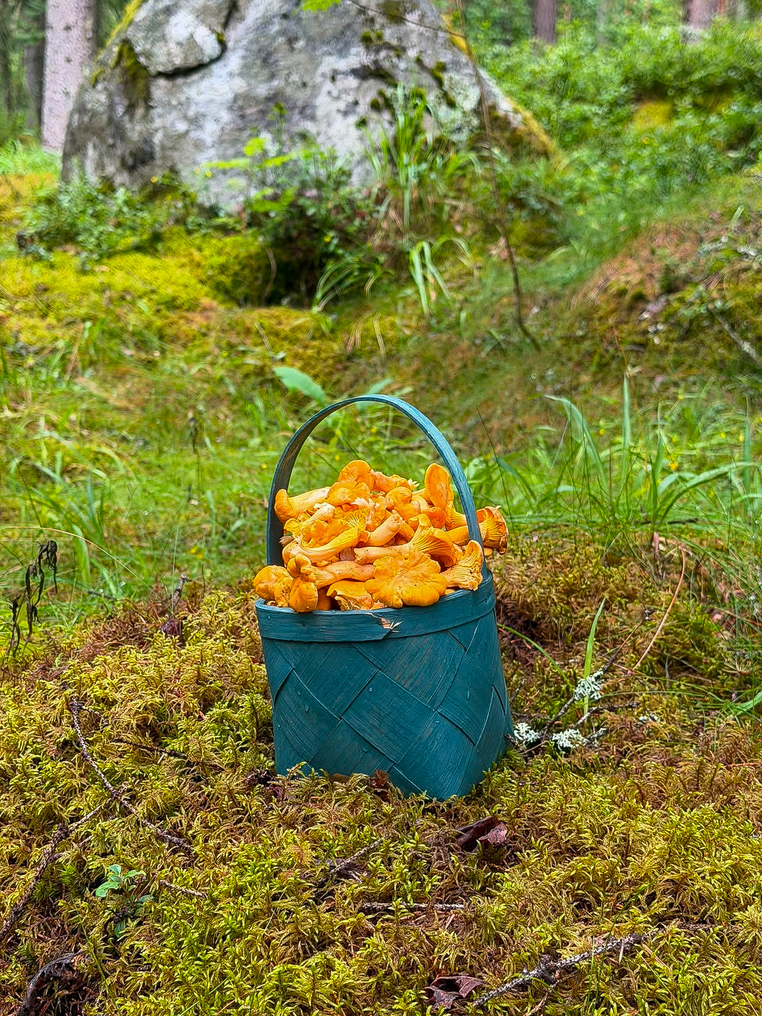 Säljarens bilder