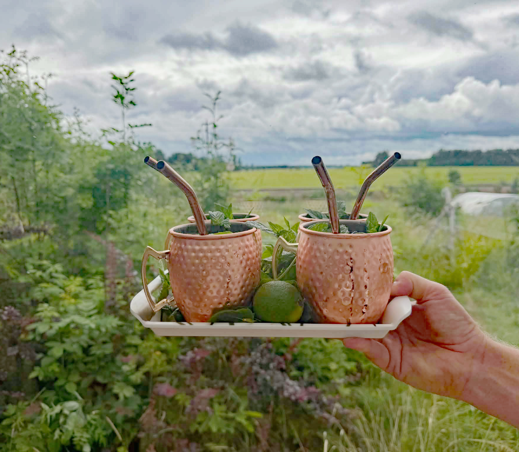 Välkommen