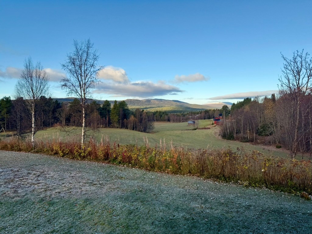 Utsikt över fjällen