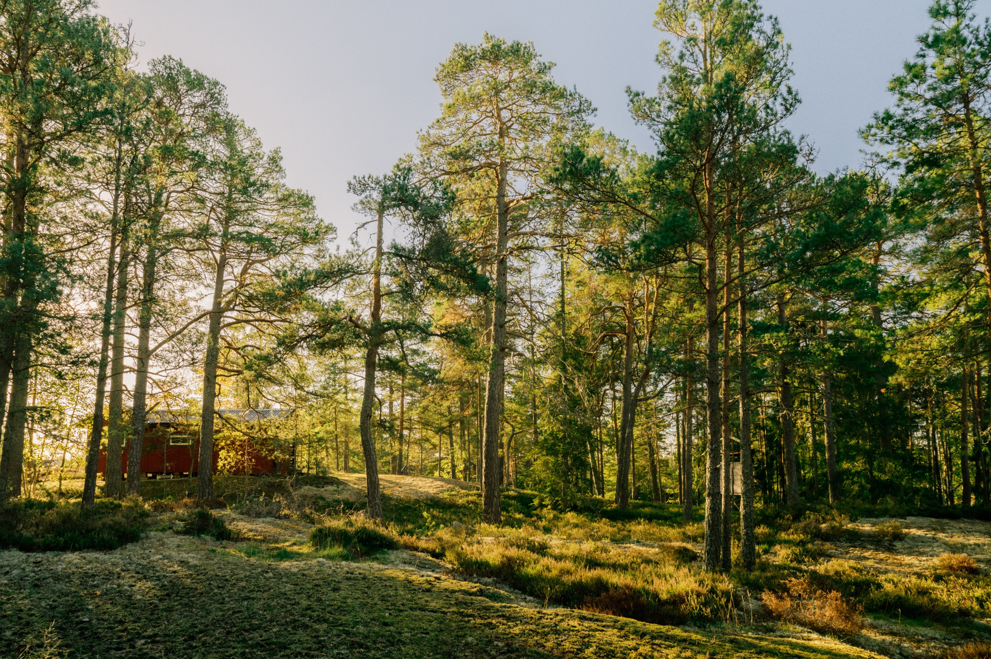 Bostadsbild från Lärkstigen 3A, Till salu i Strömma, Värmdö