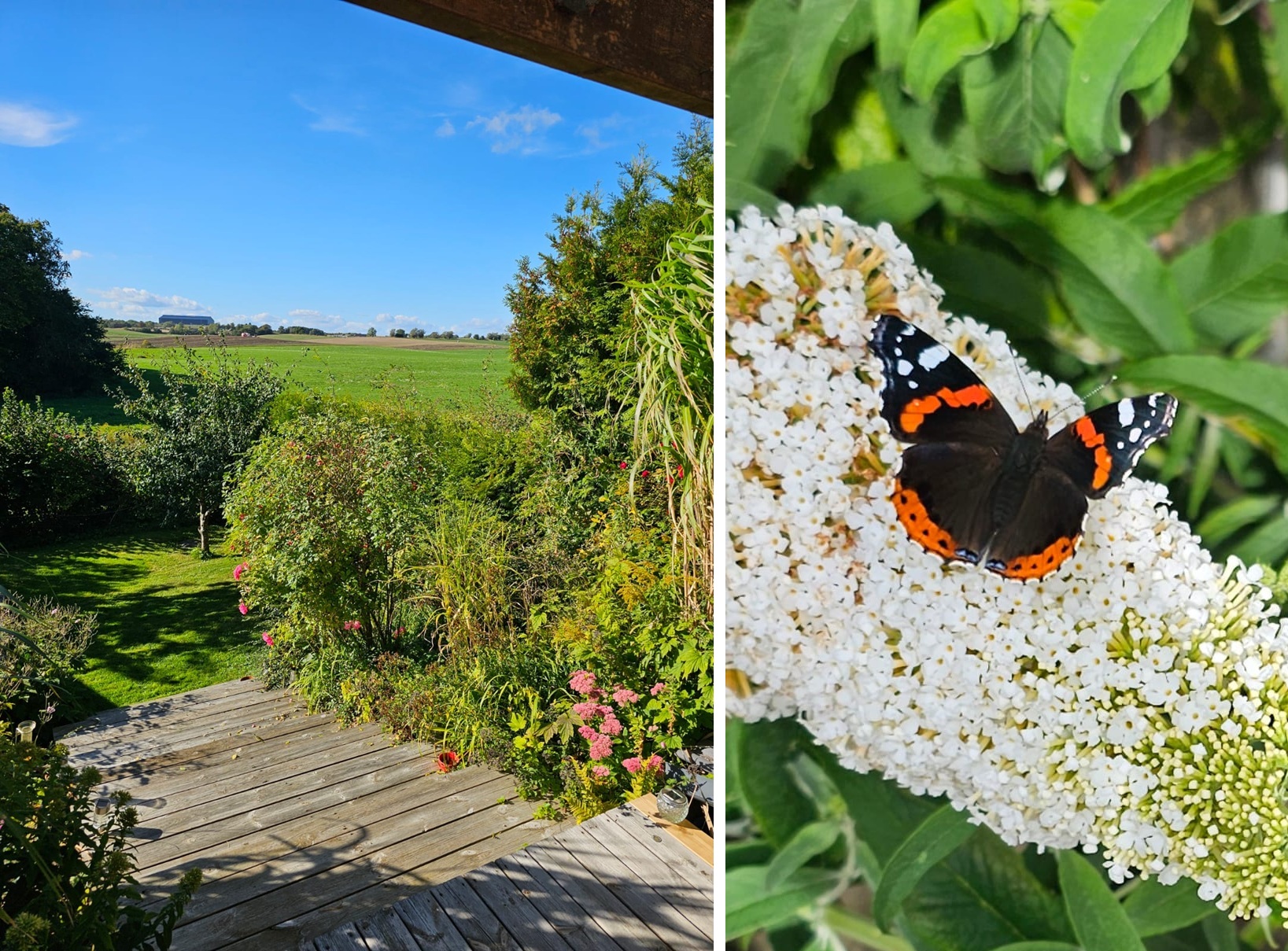 Säljarens sommarbild