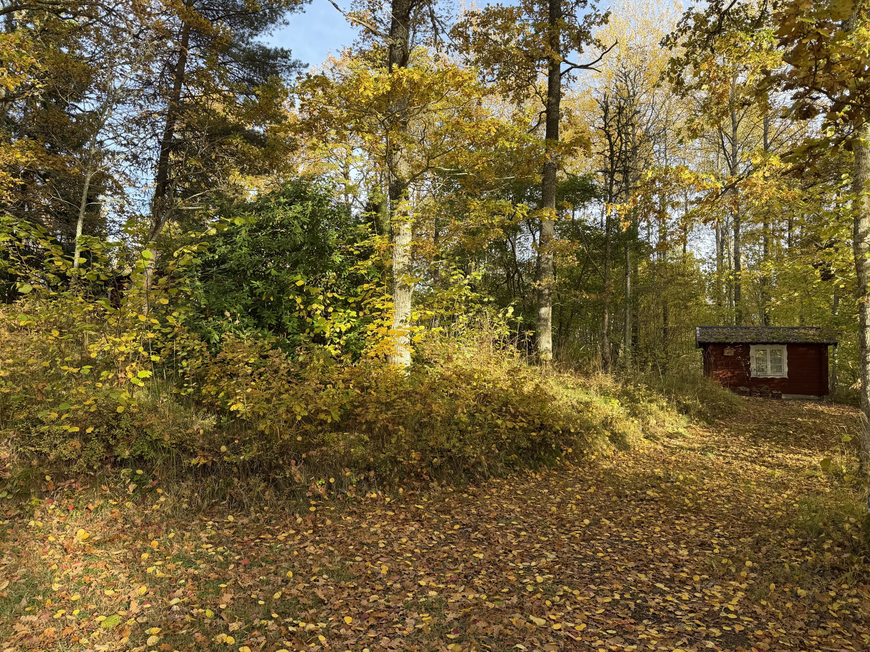 Stugan ligger bakom stora busken