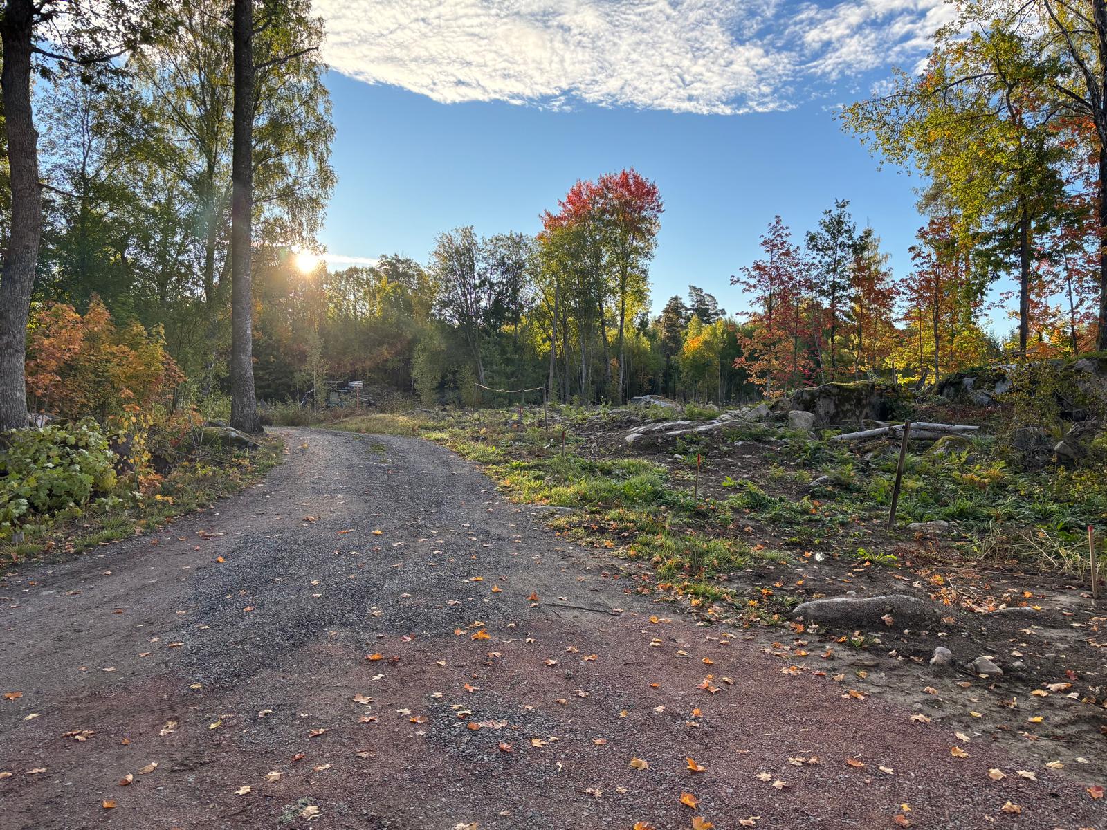 Tomtområde intill väg