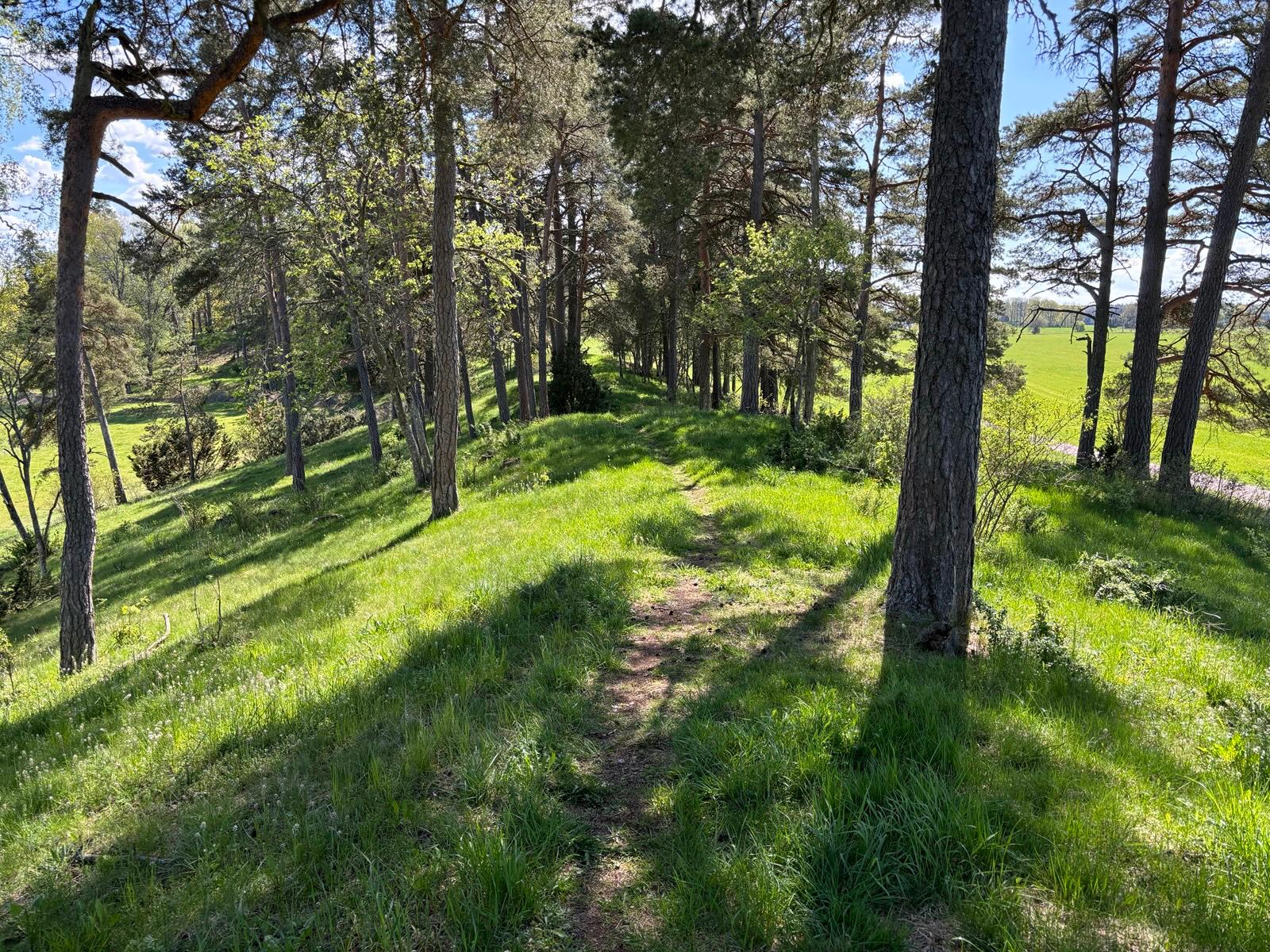 Vattholma åsen