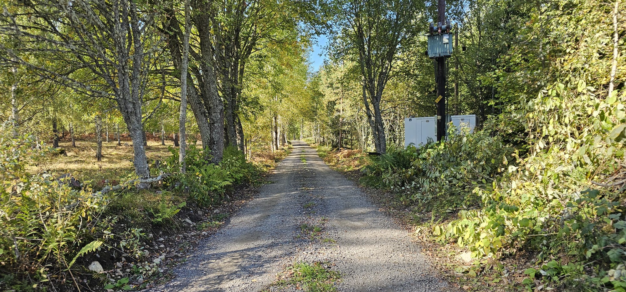 Infartsväg till tomter