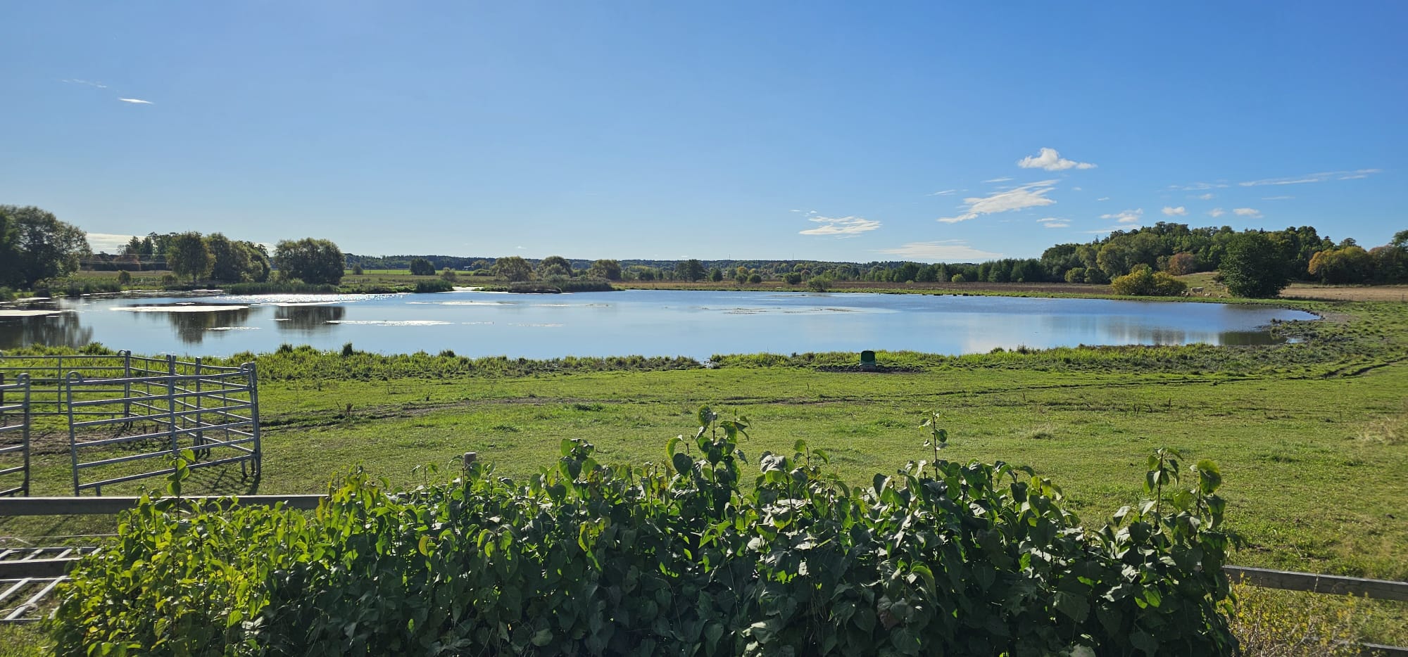 Ånge fågelsjö