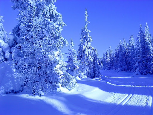 Sälen snö